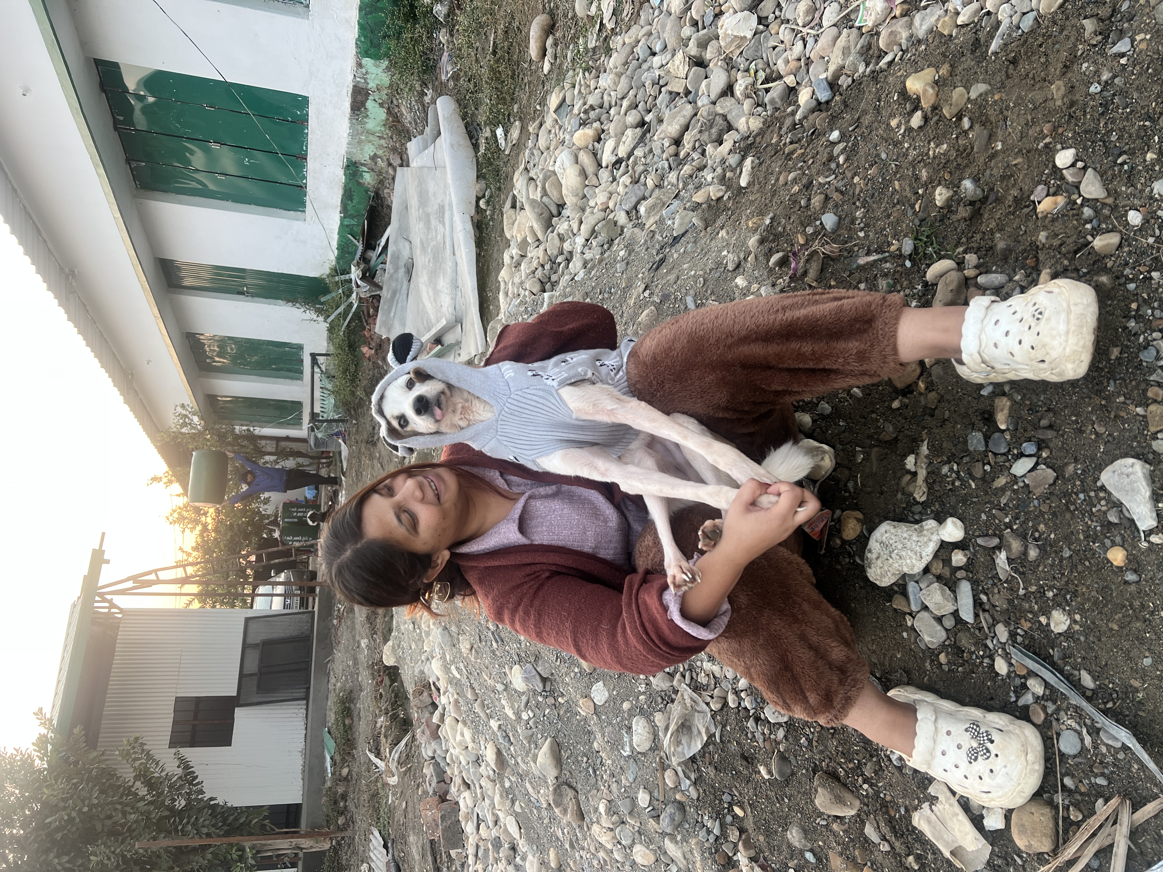 How we rescued a poor female dog Radha